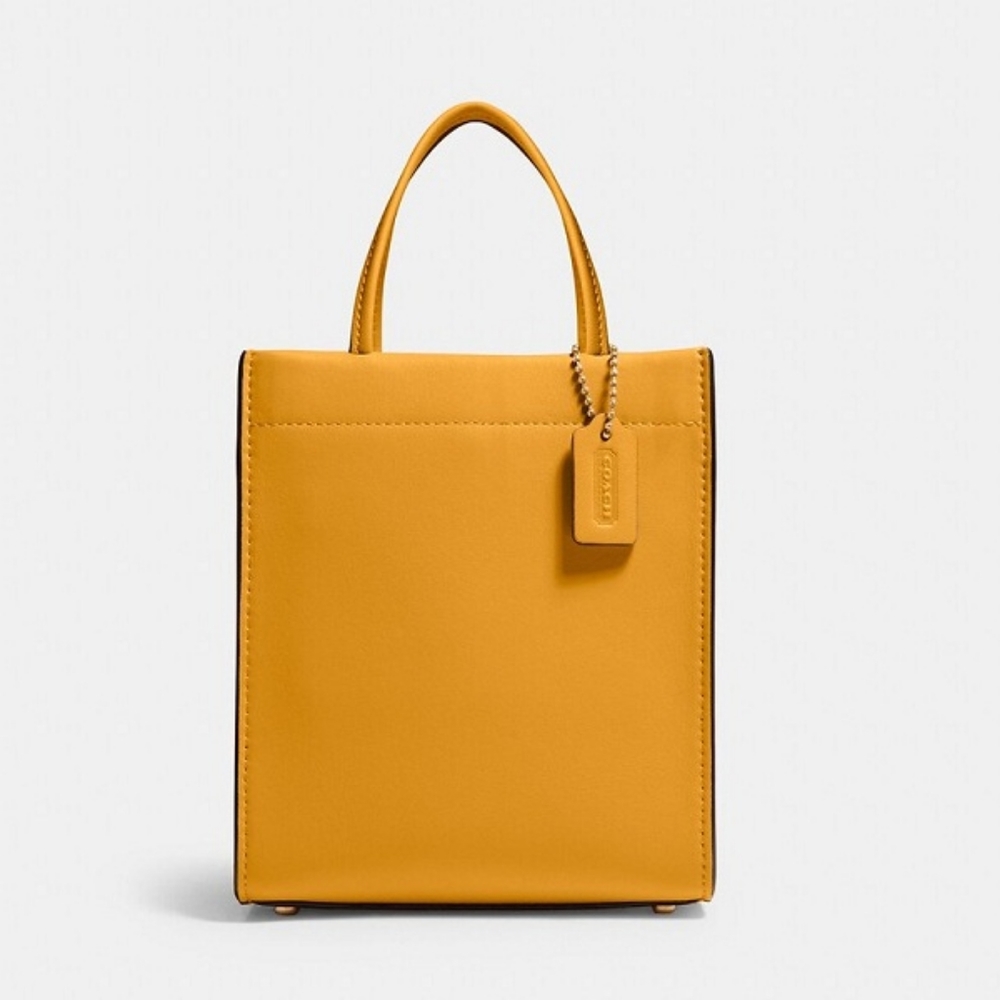 Coach mini Cashin crossbody